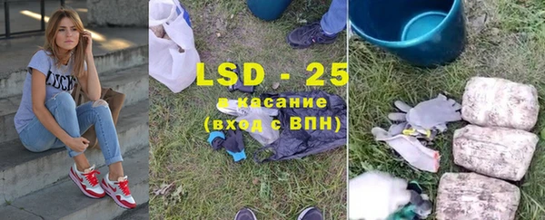 ПСИЛОЦИБИНОВЫЕ ГРИБЫ Алзамай