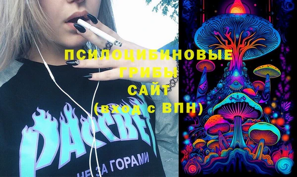 ПСИЛОЦИБИНОВЫЕ ГРИБЫ Алзамай